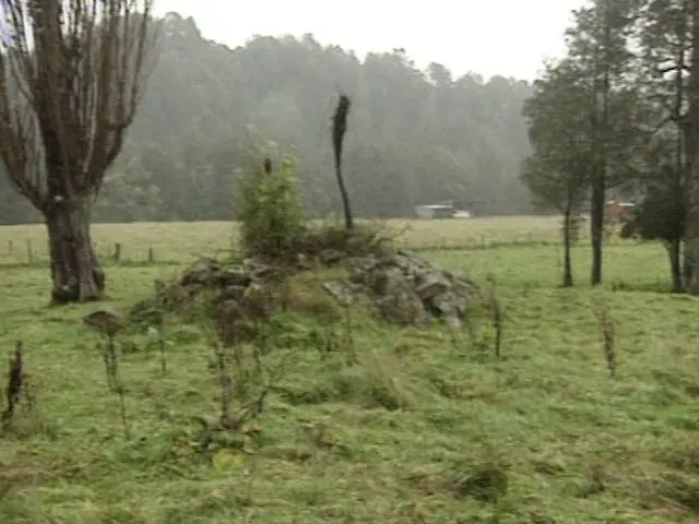 Murchison earthquake survivors, 1999