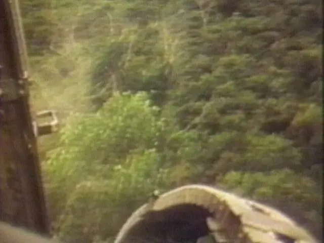 Agent Orange: the lasting impact of Vietnam