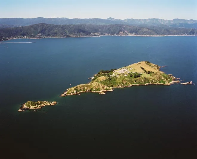 Islands in Wellington Harbour