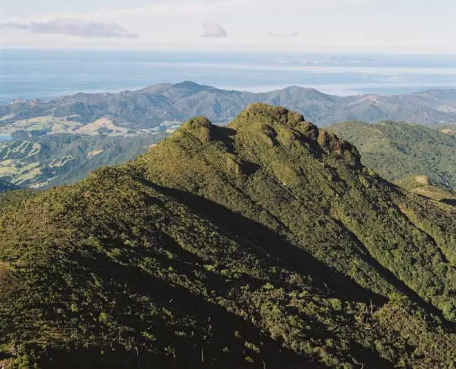Moehau mountain, Coromandel