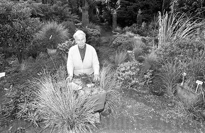 Muriel Fisher