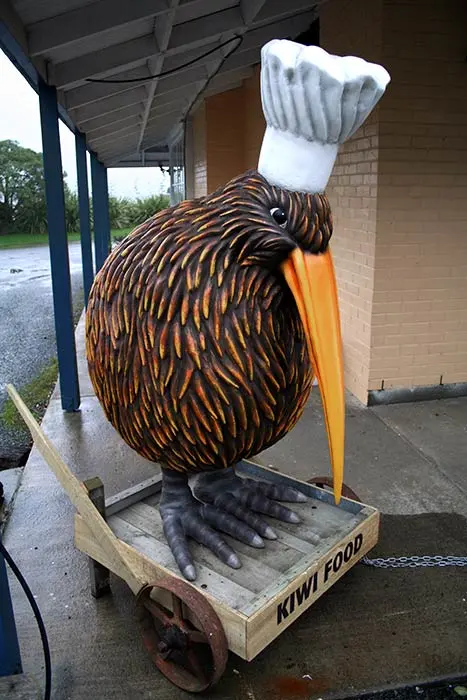 Kiwi as symbol: advertising food