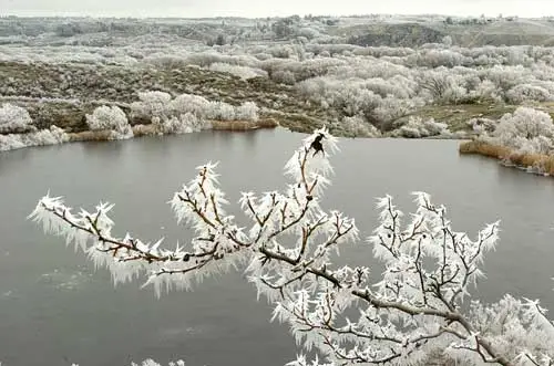 Hoar frost