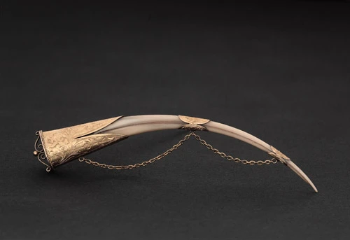 Huia brooch