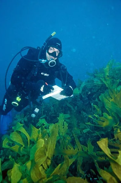 Studying a marine reserve