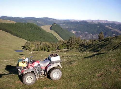 Farm forestry