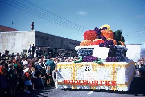 Fruit bowl float