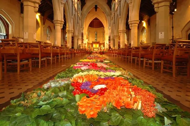 Floral carpet