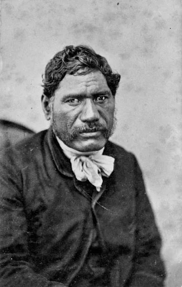 Te Ua Haumēne