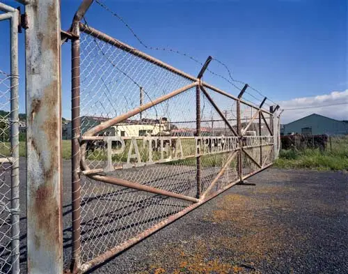Pātea freezing works