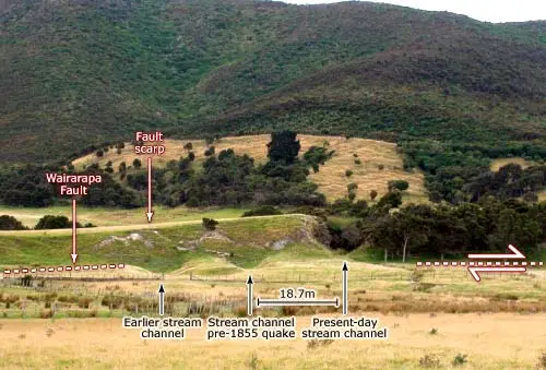 Wairarapa Fault scarp, Pigeon Bush