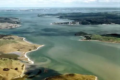 Kaipara Harbour