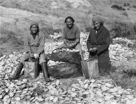 Shelling toheroa