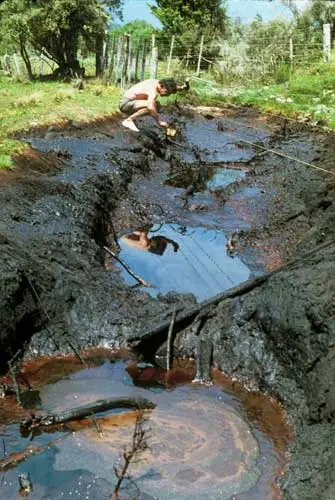 Oil seep, Kōtuku