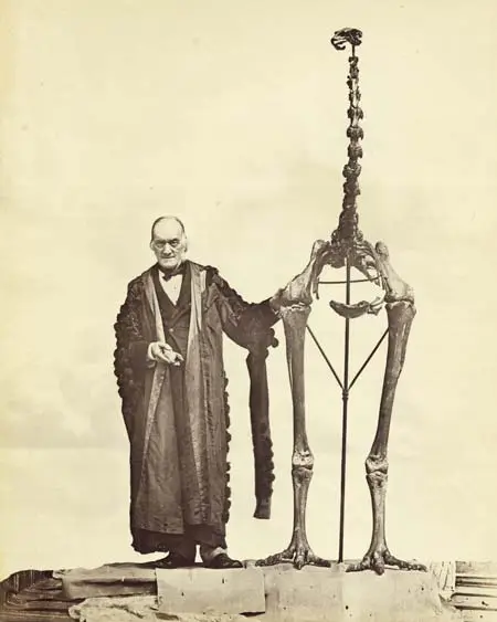 Richard Owen and moa
