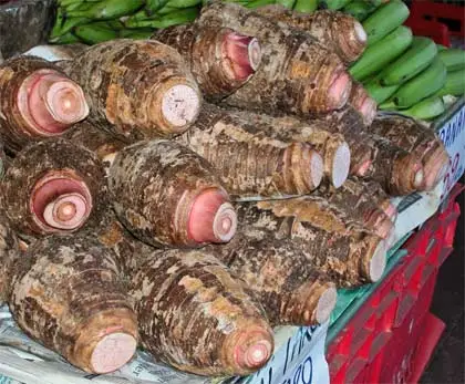 Taro tubers for sale