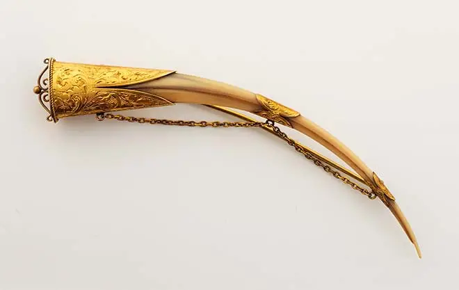 Huia-beak brooch