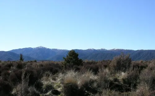 Kaimanawa Mountains