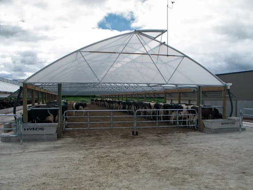 Dairy shelter building