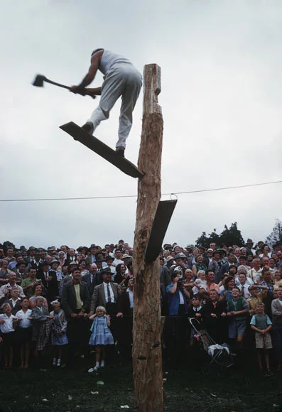 Wood-chopping competition