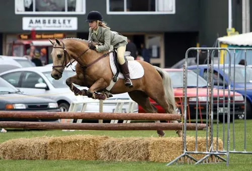 Show-jumping