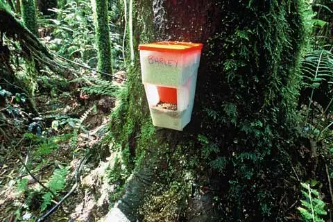 Possum bait station