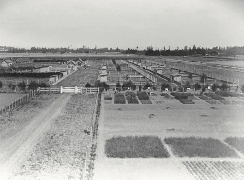 Ruakura Experimental Station