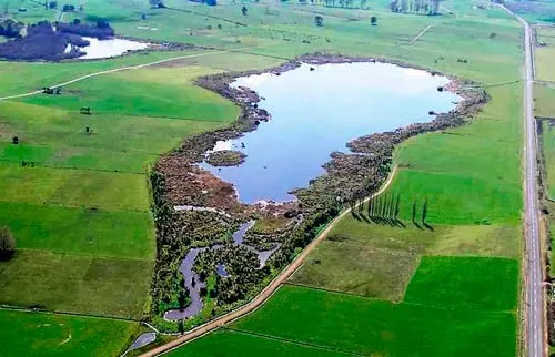 Wetland restoration