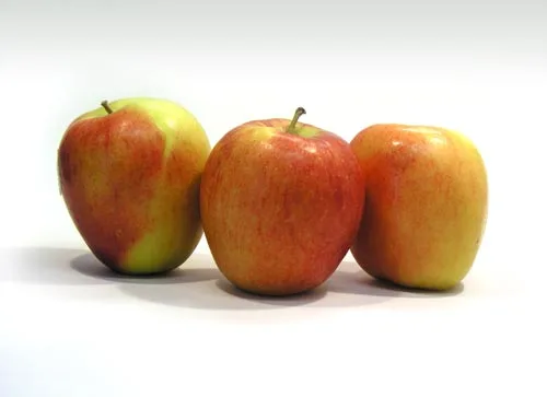 Jazz apples