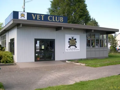 Vet Club Reporoa