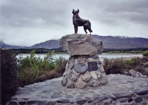 The sheepdog memorial, Lake Tekapo