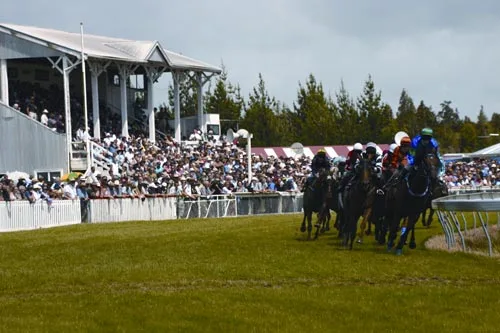 Kumara races