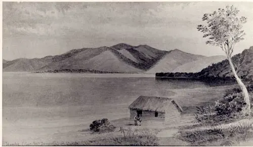 Hōreke, Hokianga