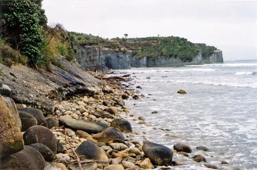 Rocky shores