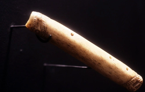 Te pūtōrino a Tūtānekai