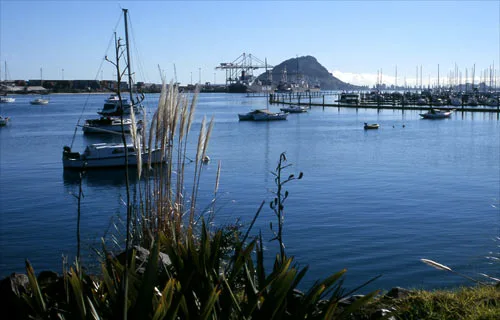 Tauranga on a fine day