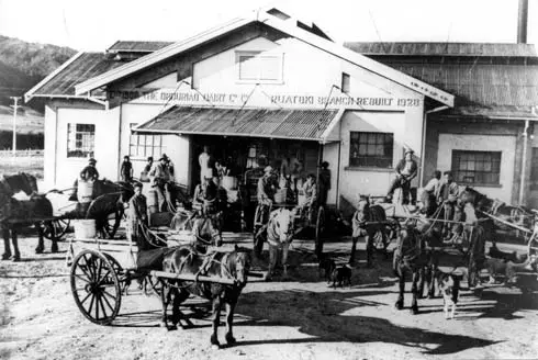 Dairy factory, Rūātoki