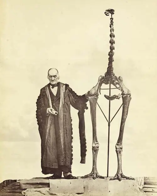 Richard Owen and Dinornis giganteus