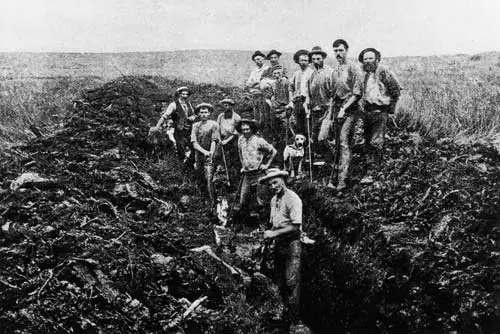 Dalmatian gum diggers