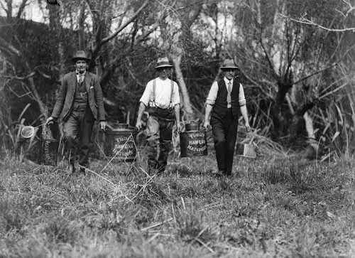 Releasing trout fingerlings