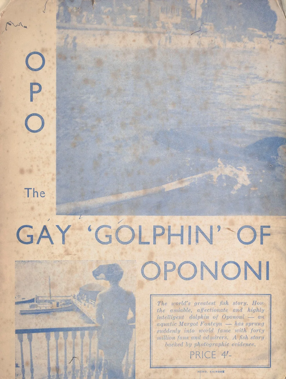 Opo The Gay 'Golphin' of Opononi