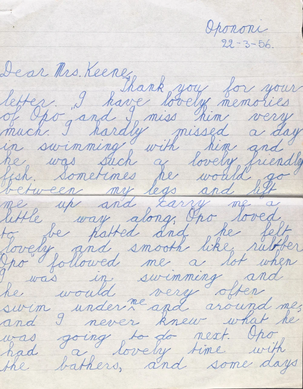 Letter from Jill Baker to Mrs Keene regarding Opo the dolphin