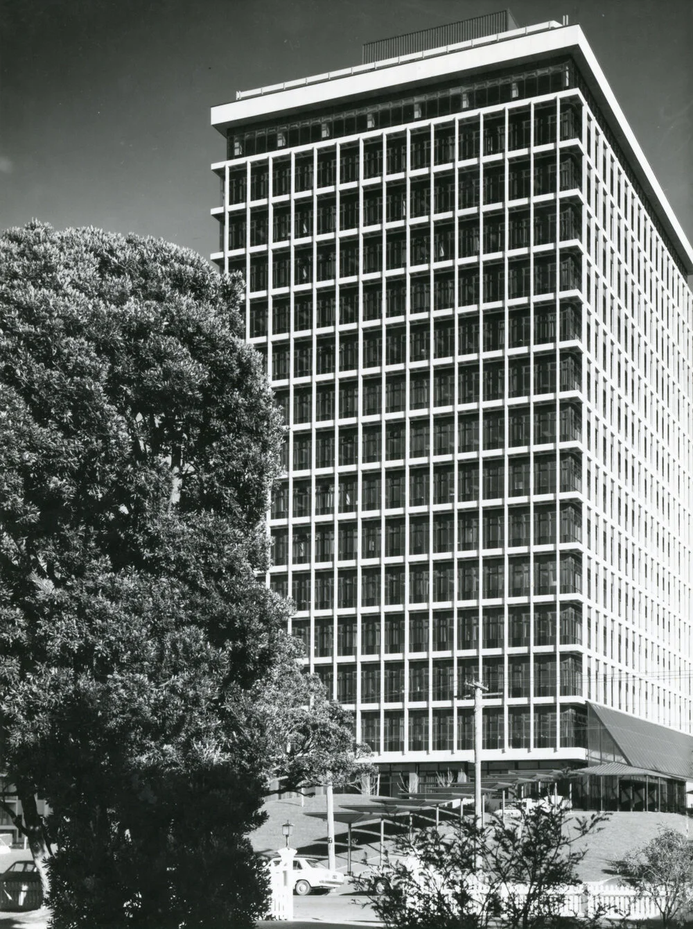 Freyberg Building
