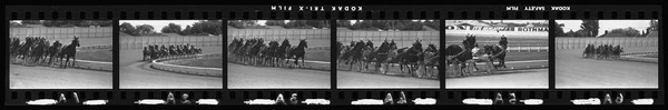 New Zealand Trotting Cup harness race