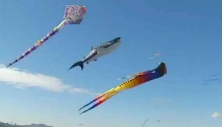 Dolphin, dragon, and diamond kites float across Auckland sky for Matariki Festival