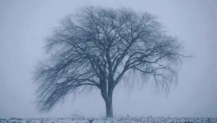Weather: New Zealand struck by bone-chilling cold shock