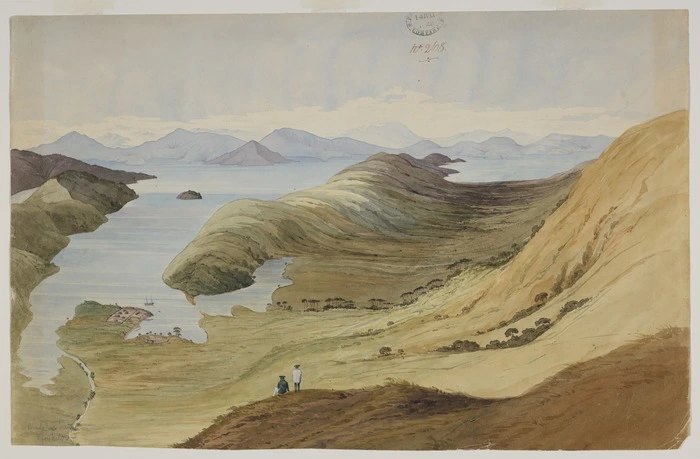 Fox, William 1812-1893 :Bird's eye view of Waitoi. [1848]